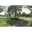 公園