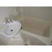 バス/シャワー