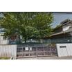 幼稚園、保育園