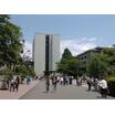 大学