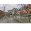 小学校