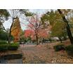 公園