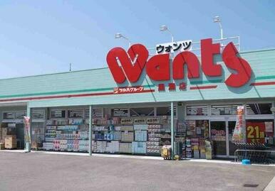 ウォンツ