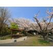 公園