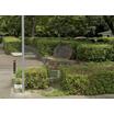公園