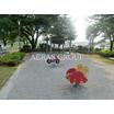 公園