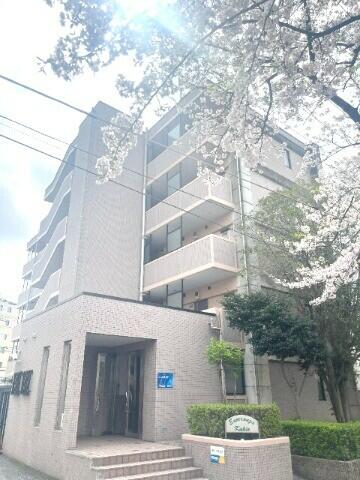 エスペランサ柿生 １０３ 1Kの画像