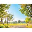 公園