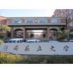 大学