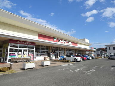 ヨークベニマル福田町店
