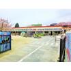 幼稚園、保育園
