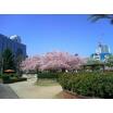 公園