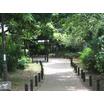 公園
