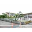 幼稚園、保育園