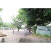 公園