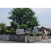 幼稚園、保育園