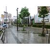 公園