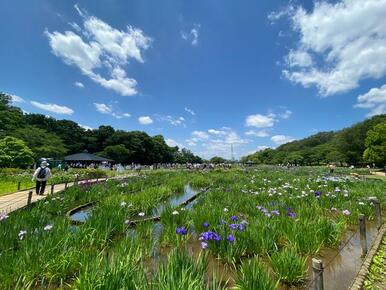 北山公園