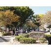 公園