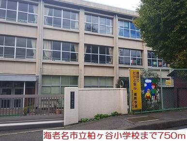 柏ヶ谷小学校