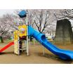 公園