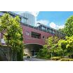 大学