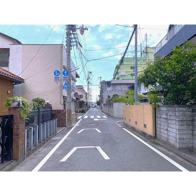 2026年6月撮影