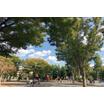 公園