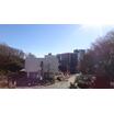 大学