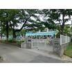 幼稚園、保育園