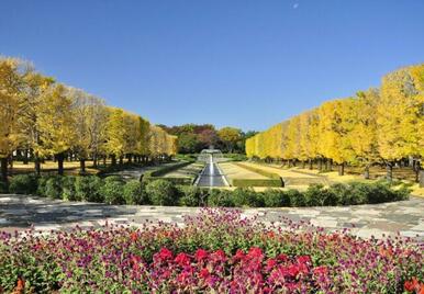 国営昭和記念公園