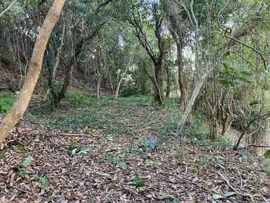 ■広い平坦地＋傾斜地付で山探索や秘密基地作り