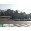 大学