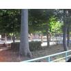 公園