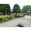 公園