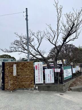 福岡市立香住丘小学校