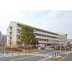 幼稚園、保育園