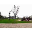 公園