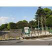 公園