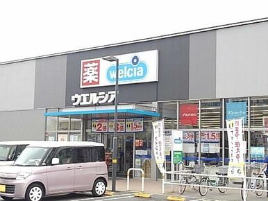 ウエルシアイオンタウン吉川美南