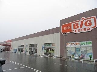 ザ・ビッグエクストラ氷上店