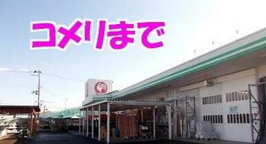 コメリハード＆グリーン金ヶ崎店