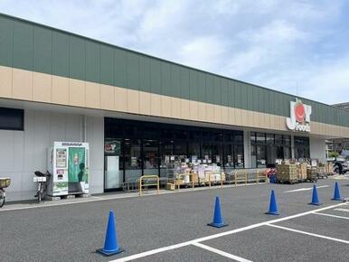 ジョイフーズ越谷登戸店：約730ｍ
