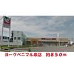 販売店