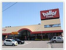 ハローフーヅ太田店