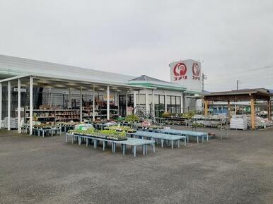 コメリ大里店