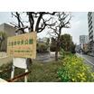 公園