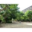 公園
