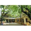 幼稚園、保育園