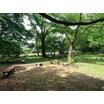 公園